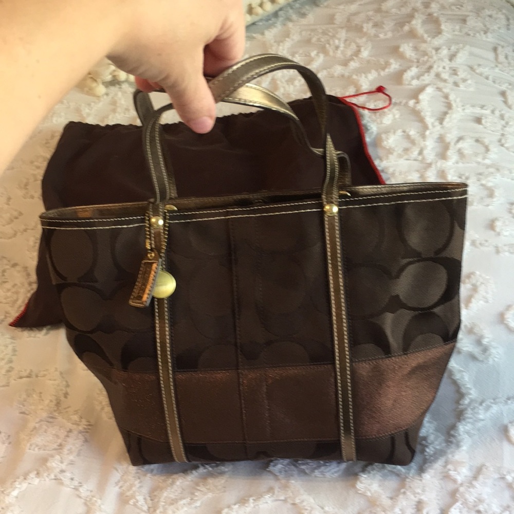 Coach Brown and Sparkle Strip Handbag